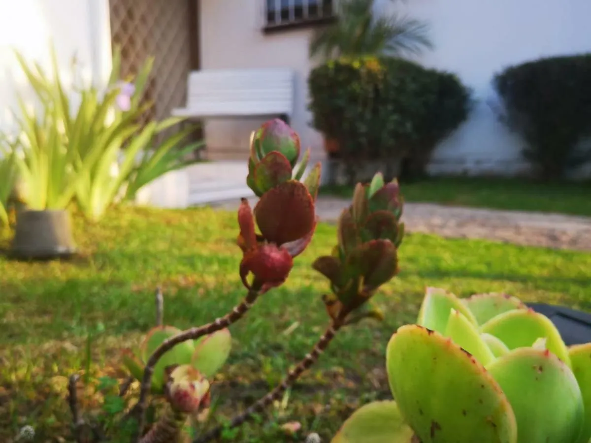בוגוטה Hotel Balmoral Casa & Hostal